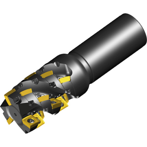 NTKカッティングツールズ　TAEGUTEC　シェルミル　チェイスＶクアッド　２１枚刃　【品番：4S-TEF-D40-60-W32-11V-3F】
