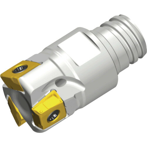 NTKカッティングツールズ　TAEGUTEC　モジュラーヘッド交換式エンドミル　マキシラッシュ２枚刃　タングスフィード　【品番：4T-TE90-210-S06-05】