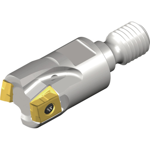 NTKカッティングツールズ　TAEGUTEC　モジュラーヘッド交換式エンドミル　フレックステック２枚刃　タングスフィード　【品番：4T-TE90-220-M10-09】