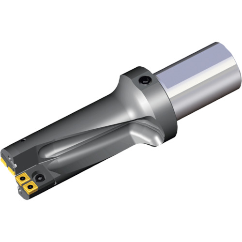 NTKカッティングツールズ　TAEGUTEC　刃先交換式ドリルホルダー　トップドリル　【品番：TOP 2056-60-50T2-11CA】