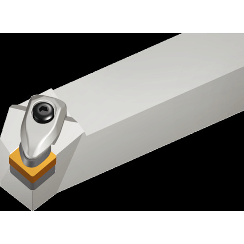 NTKカッティングツールズ　TAEGUTEC　Ｔ‐ターン　外径加工用Ｔホルダー（ダブルクランプ式）　【品番：TSKNR 2525 M12】