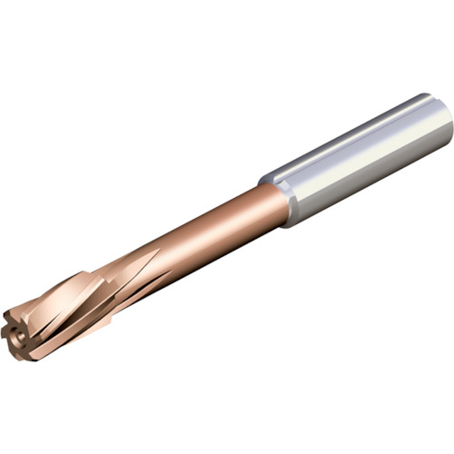 NTKカッティングツールズ　TAEGUTEC　超硬ソリッドリーマ　ＴＳリーマ貫通穴用　【品番：TS-L1000-NS        TT5040】