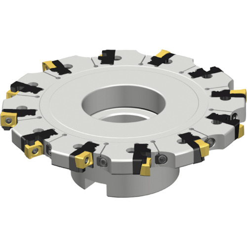 NTKカッティングツールズ　TAEGUTEC　トップスロット　【品番：TSM 125FF-S-32R-ZN08】