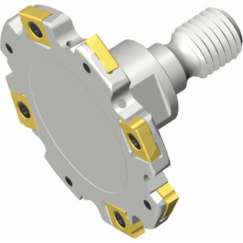 NTKカッティングツールズ　TAEGUTEC　トップスロット　【品番：TSM D63-05-M10-SL28】