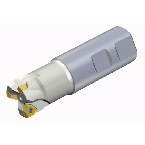 NTKカッティングツールズ　TAEGUTEC　エンドミル　ミル２ラッシュ　２枚刃　【品番：6N TE90-232-W32-09】