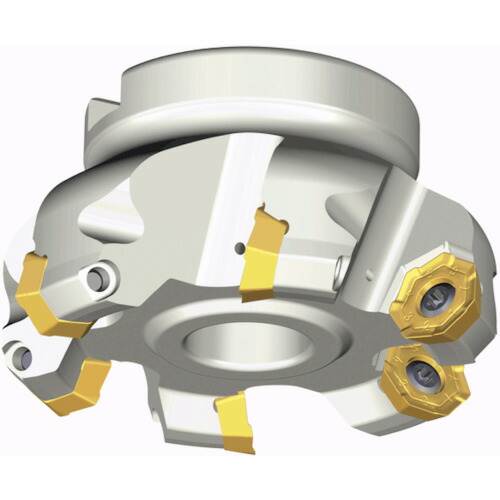 NTKカッティングツールズ　TAEGUTEC　フェースミル　チェイス２ヘプタ　９枚刃　【品番：7S-F45 9125-38.1R-06】