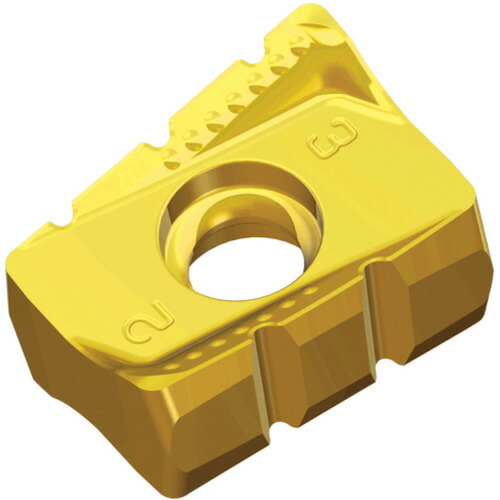 NTKカッティングツールズ　TAEGUTEC　ミーリング加工用チップ　チェイス２ミル　【10個】　【品番：ANHX 160708R-SM TT8080】 22,108円