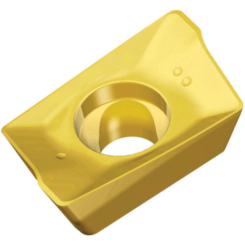 NTKカッティングツールズ　TAEGUTEC　ミーリング加工用チップ　チェイスミル　【10個】　【品番：APKT 09T3 PER-EM   TT9080】