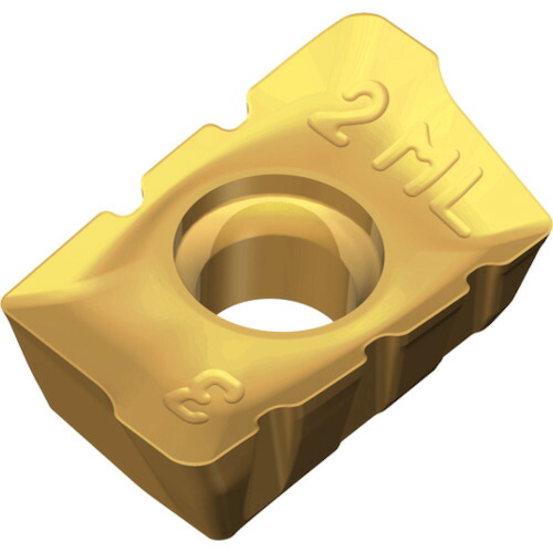 NTKカッティングツールズ　TAEGUTEC　ミーリング加工用チップ　チェイスミル　【10個】　【品番：APKT 1204 PER-SML  TT8080】