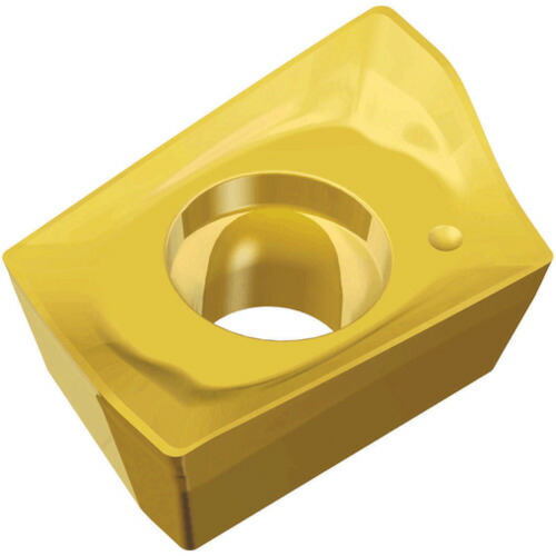NTKカッティングツールズ　TAEGUTEC　ミーリング加工用チップ　チェイスミル　【10個】　【品番：AXMT 0602 PER-EM TT9030】