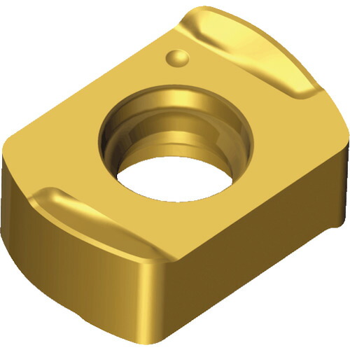 NTKカッティングツールズ TAEGUTEC ミーリング産業用手当て チェイス４フィード 【10個】 【品番：BLMP 0402R-M       TT2510】