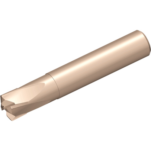 NTKカッティングツールズ　TAEGUTEC　セラミックエンドミル　【品番：CRH 4160 TC3030】