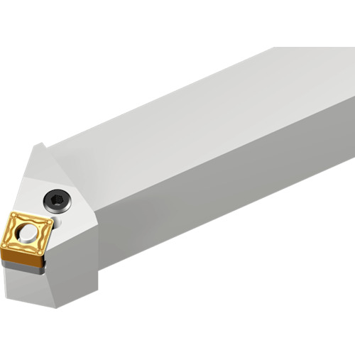 NTKカッティングツールズ　TAEGUTEC　ライノターン　ＥＣＯ　【品番：HSSNL 2525 M0904】