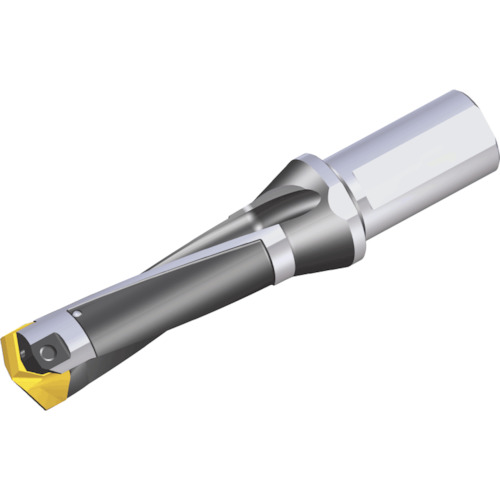 NTKカッティングツールズ　TAEGUTEC　刃先交換式穴あけ用ホルダー　スペードラッシュ　【品番：LCD 270-279-32T2-3D】