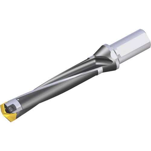 NTKカッティングツールズ　TAEGUTEC　刃先交換式穴あけ用ホルダー　スペードラッシュ　【品番：LCD 400-410-40T2-5D】