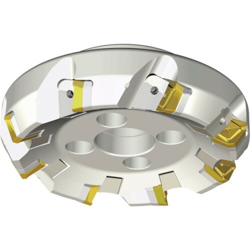 NTKカッティングツールズ　TAEGUTEC　ライノウェッジクランプ　【品番：LM60SC 8160-40R-21】