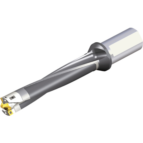 NTKカッティングツールズ　TAEGUTEC　刃先交換式ドリルホルダー　モジュールドリル　【品番：MDB D48/50-250-50T2-C48-5】