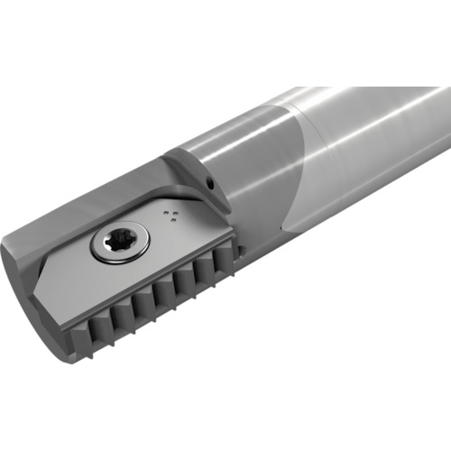 NTKカッティングツールズ　TAEGUTEC　ミルスレッド　【品番：MTE D13.7-1-C10C-14】
