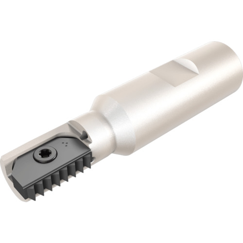 NTKカッティングツールズ　TAEGUTEC　ミルスレッド　【品番：MTE D21-1-W20-21】