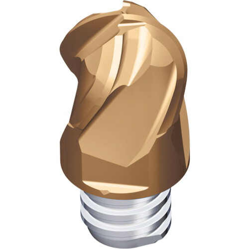 NTKカッティングツールズ　TAEGUTEC　交換式超硬ヘッド　マキシラッシュ　【2個】　【品番：MXBD160L12-BG-04S10 5523】