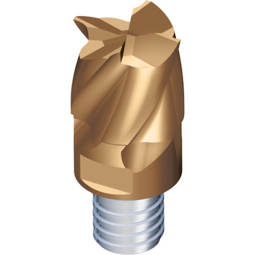 NTKカッティングツールズ　TAEGUTEC　交換式超硬ヘッド　マキシラッシュ　【2個】　【品番：MXEE160L12C60I04S10 5523】