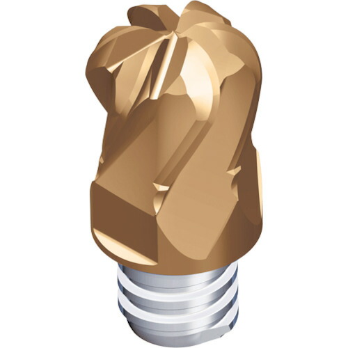 NTKカッティングツールズ　TAEGUTEC　交換式超硬ヘッド　マキシラッシュ　【品番：MXRD100L05R30-06S06 5523】