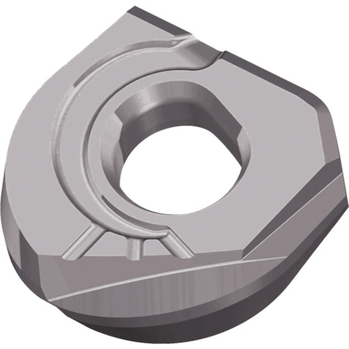 NTKカッティングツールズ　TAEGUTEC　ミーリング加工用チップ　ファインボール　【品番：NFB 100-SM         TT2510】