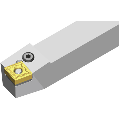 NTKカッティングツールズ　TAEGUTEC　Ｔ‐ターン　外径加工用ホルダー（レバーロック）　【品番：PCBNL 2525 M16】