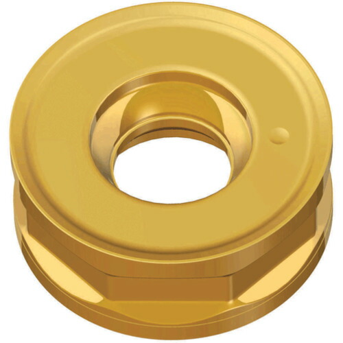 NTKカッティングツールズ　TAEGUTEC　ミーリング加工用チップ　チェイス２モールド　【10個】　【品番：RNMU 1606-ML       TT8080】