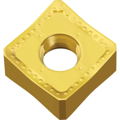 NTKカッティングツールズ　TAEGUTEC　ミーリング加工用チップ　チェイス２クアッド　【10個】　【品番：SNGX 130608-ML     TT6080】