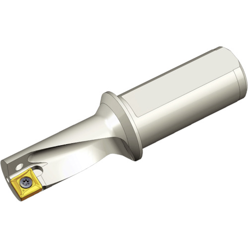 NTKカッティングツールズ　TAEGUTEC　刃先交換式ドリルホルダー　トップキャップ　【品番：TCAP 08L-2.25DN】