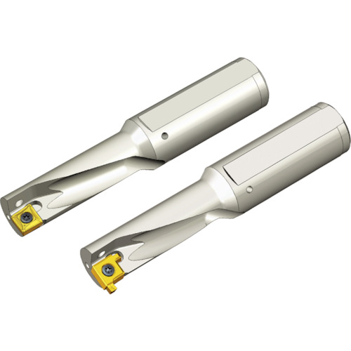 NTKカッティングツールズ　TAEGUTEC　刃先交換式ドリルホルダー　トップキャップ　【品番：TCAP 12R-3.0DN-GV】