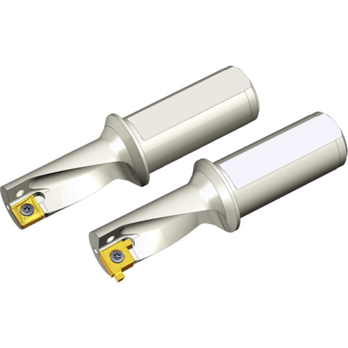 NTKカッティングツールズ　TAEGUTEC　刃先交換式ドリルホルダー　トップキャップ　【品番：TCAP 25R-2.25DN-GV】