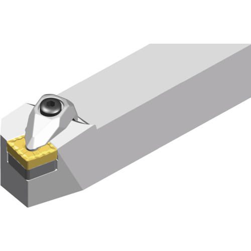 NTKカッティングツールズ　TAEGUTEC　Ｔ‐ターン　外径加工用Ｔホルダー（ダブルクランプ式）　【品番：TCBNR 2525 M12】