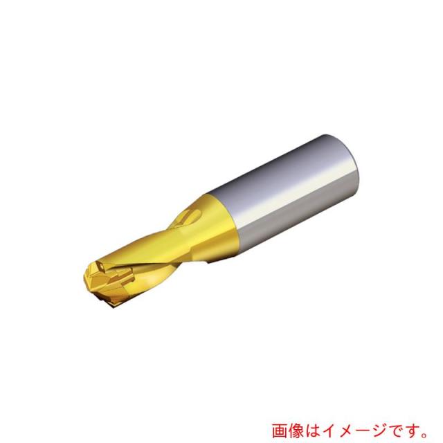 NTKカッティングツールズ　TAEGUTEC　刃先交換式ドリルホルダー　ドリルラッシュ　【品番：TCD 065-069-12S0-1.5D】