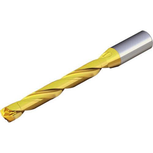 NTKカッティングツールズ　TAEGUTEC　刃先交換式ドリルホルダー　ドリルラッシュ　【品番：TCD 065-069-12S0-8D】