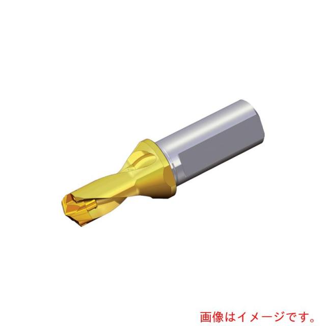 NTKカッティングツールズ　TAEGUTEC　刃先交換式ドリルホルダー　ドリルラッシュ　【品番：TCD 070-074-12T3-1.5D】