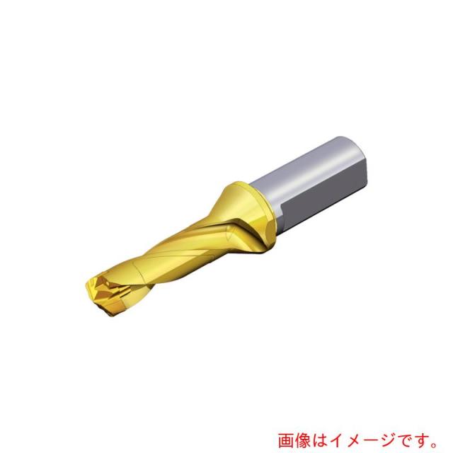 NTKカッティングツールズ　TAEGUTEC　刃先交換式ドリルホルダー　ドリルラッシュ　【品番：TCD 090-094-12T3-3D】