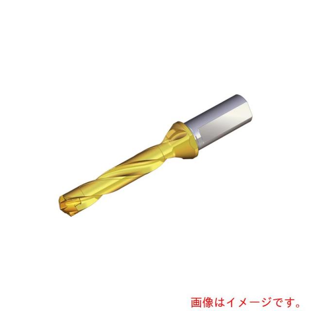 NTKカッティングツールズ　TAEGUTEC　刃先交換式ドリルホルダー　ドリルラッシュ　【品番：TCD 095-099-12T3-5D】