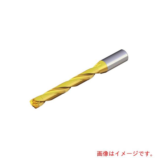 NTKカッティングツールズ　TAEGUTEC　刃先交換式ドリルホルダー　ドリルラッシュ　【品番：TCD 110-114-16S0-8D】