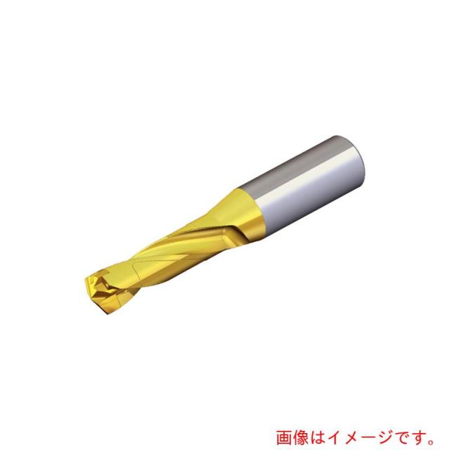 NTKカッティングツールズ　TAEGUTEC　刃先交換式ドリルホルダー　ドリルラッシュ　【品番：TCD 140-144-16S0-3D】