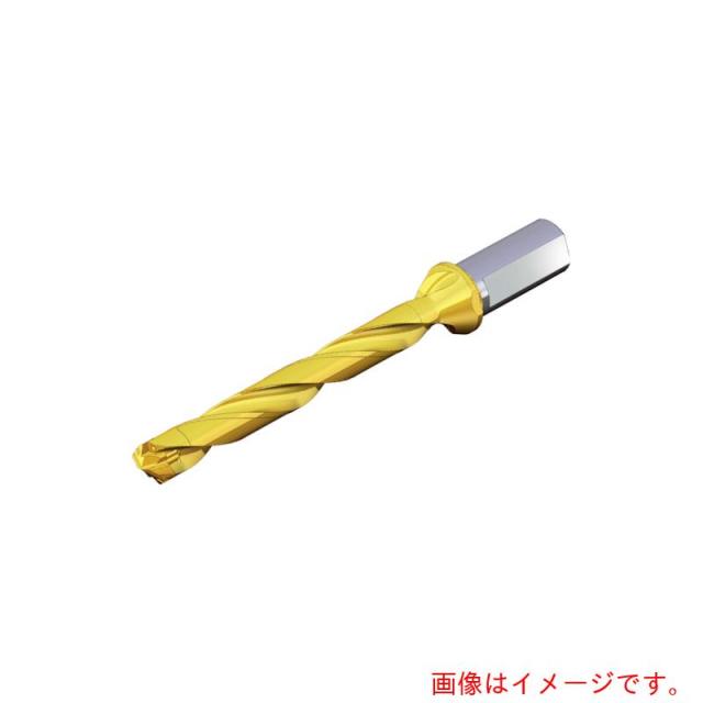 NTKカッティングツールズ　TAEGUTEC　刃先交換式ドリルホルダー　ドリルラッシュ　【品番：TCD 180-189-25T2-8D】