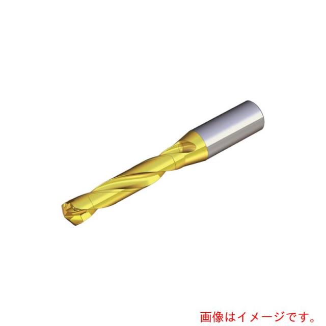 NTKカッティングツールズ　TAEGUTEC　刃先交換式ドリルホルダー　ドリルラッシュ　【品番：TCD 210-219-25S0-5D】