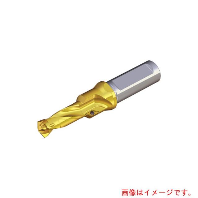 NTKカッティングツールズ　TAEGUTEC　刃先交換式ドリルホルダー　ドリルラッシュ　【品番：TCD 210X48X25T2-M24】