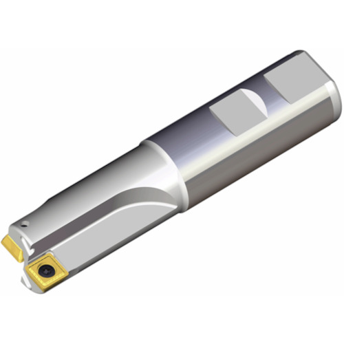 NTKカッティングツールズ　TAEGUTEC　チェイスクアッド　【品番：TDM 245 W32-14】