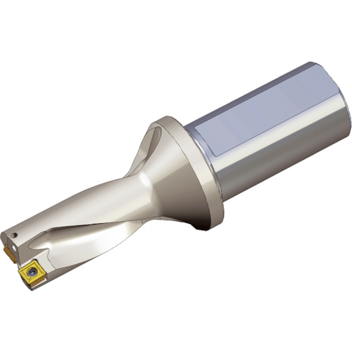 NTKカッティングツールズ　TAEGUTEC　刃先交換式ドリルホルダー　Ｔドリル　【品番：TDR 2400-40T2-11】