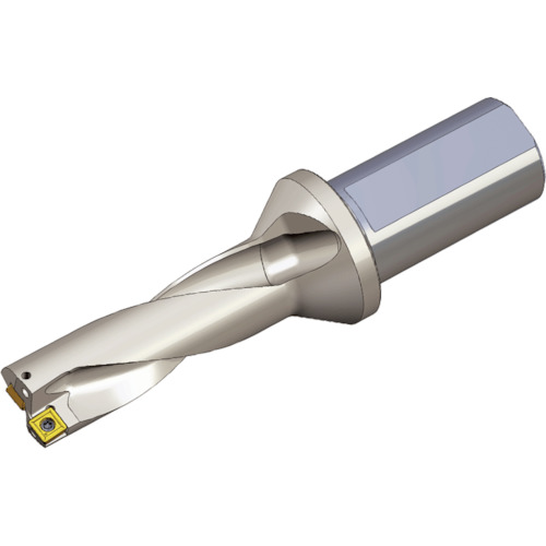 NTKカッティングツールズ　TAEGUTEC　刃先交換式ドリルホルダー　Ｔドリル　【品番：TDR 3325-32T2-09】