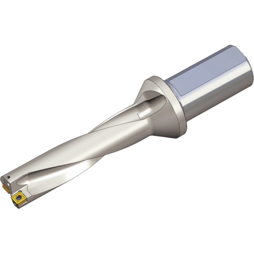 NTKカッティングツールズ　TAEGUTEC　刃先交換式ドリルホルダー　Ｔドリル　【品番：TDR 4310-32T2-09】