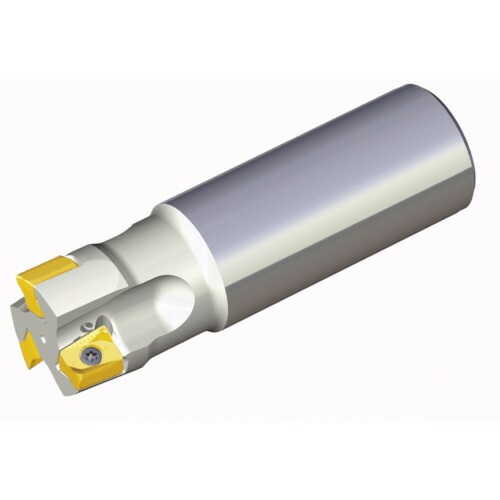 NTKカッティングツールズ　TAEGUTEC　チェイス２ミル　【品番：TE90AN 233-32-16-L200】