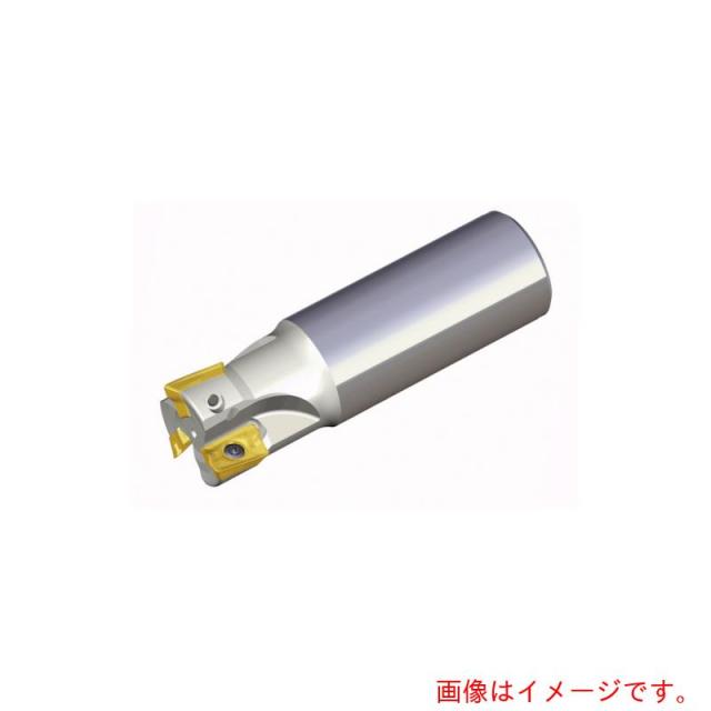 NTKカッティングツールズ　TAEGUTEC　ミーリングカッター　チェイスミル　【品番：TE90AP 225-W25-17-C】